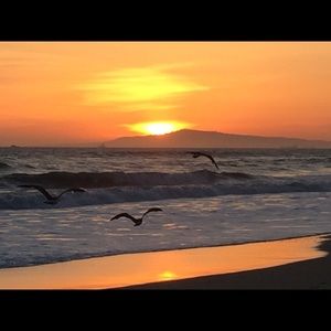 Meet your Posher, Carl